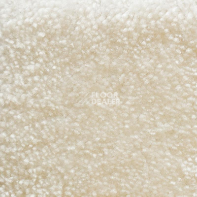 Ковролин AW Masquerade Euphoria 03 фото 1 | FLOORDEALER